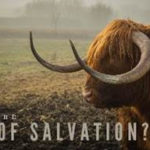Portraits of Christ – “Jesus, The Horn of Salvation” Horn Of Salvation